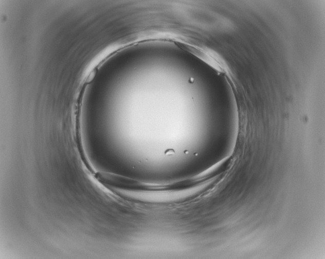 X0000081581151200701221022