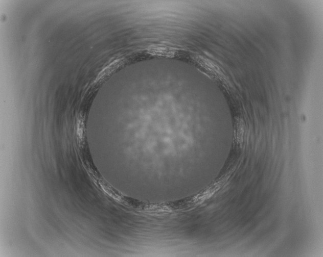 X0000081581154200701221021