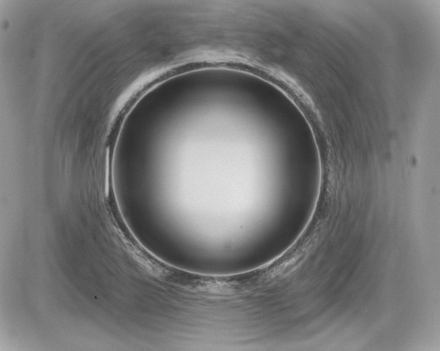 X0000081581175200701221020