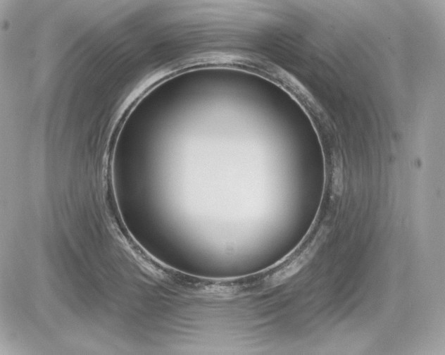 X0000081581178200701221020