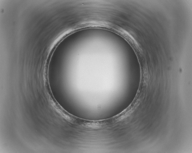 X0000081581182200701221020