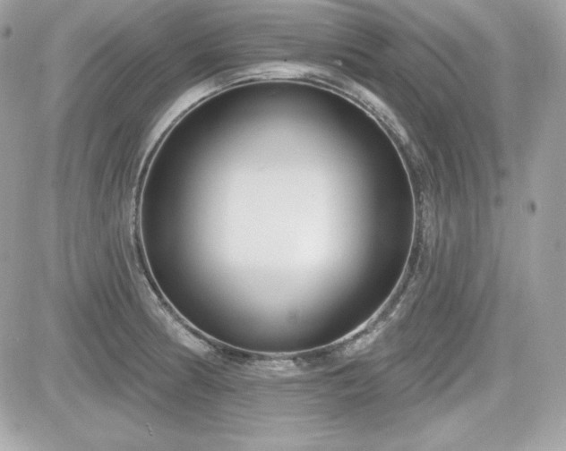 X0000081581186200701221020