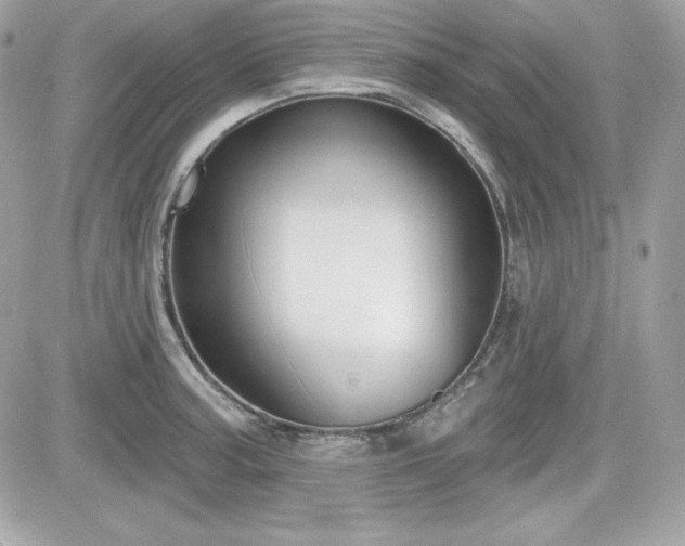 X0000081581187200701221020