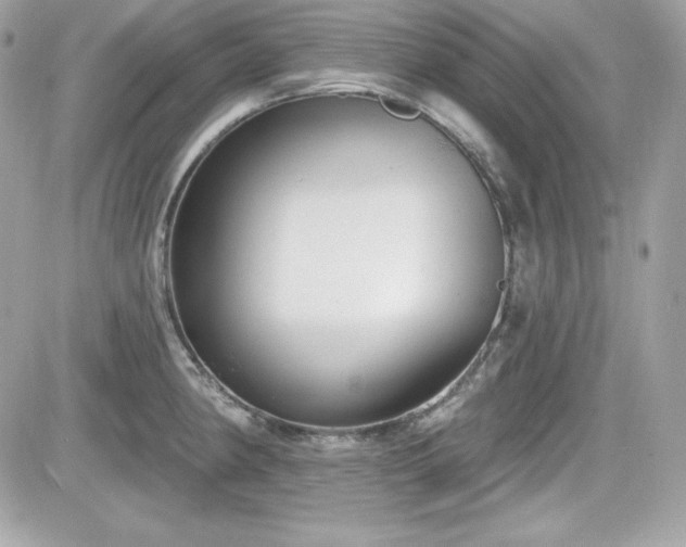X0000081581190200701221020