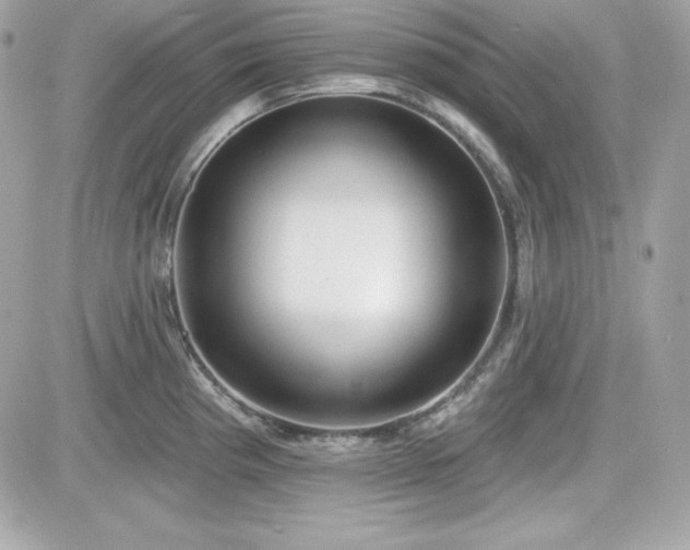 X0000081581193200701221020