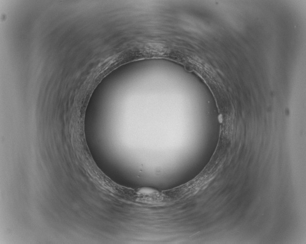 X0000081581201200701221019