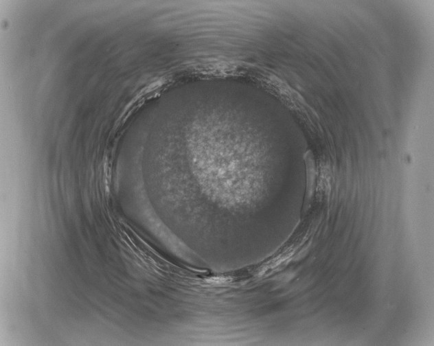 X0000081581202200701221019