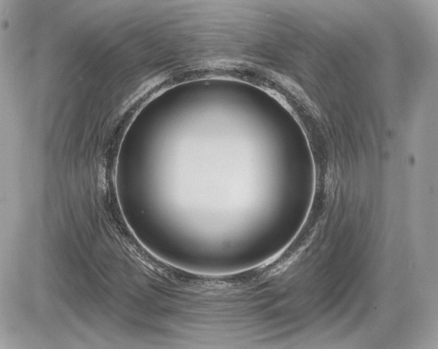 X0000081581209200701221019