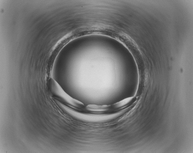 X0000081581210200701221019