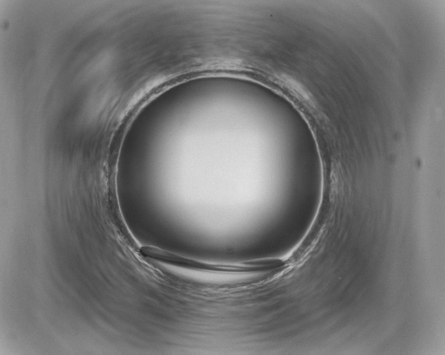 X0000081581212200701221019