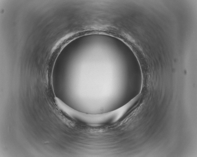 X0000081581214200701221019