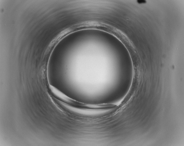 X0000081581225200701221020
