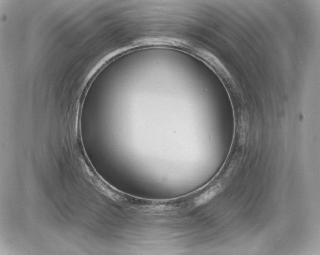 X0000081581228200701221020