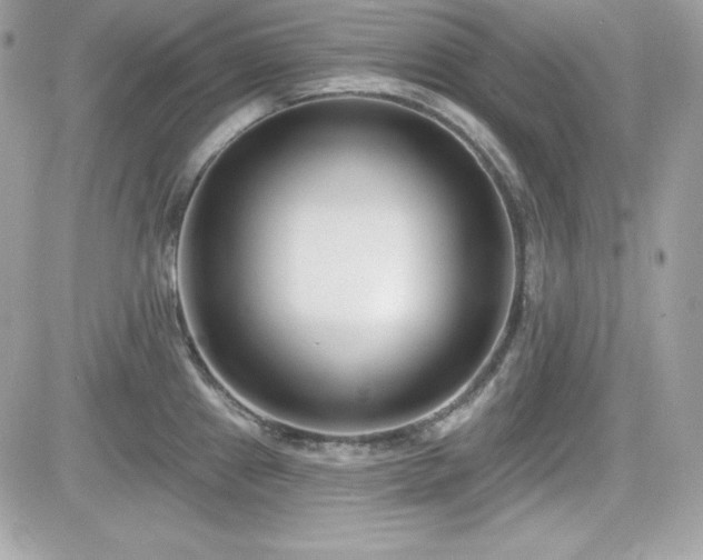 X0000081581241200701221020
