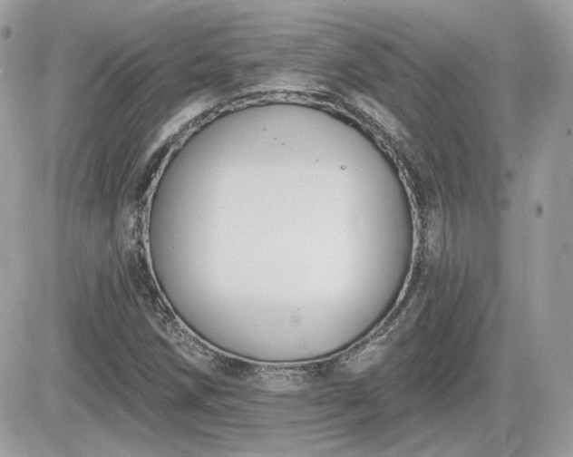 X0000081581258200701221019