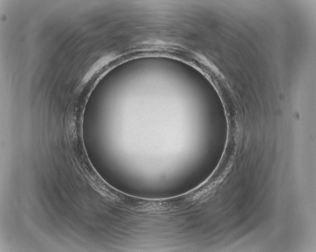 X0000081581259200701221019
