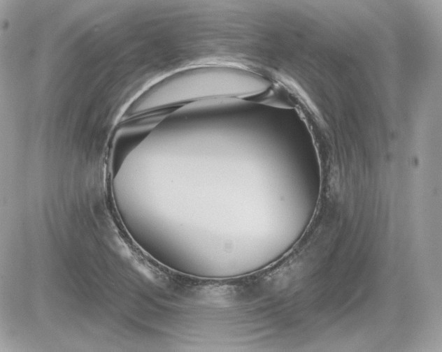 X0000081581268200701221019