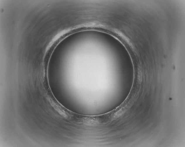 X0000081581270200701221019