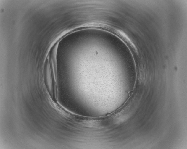 X0000081581276200701221019