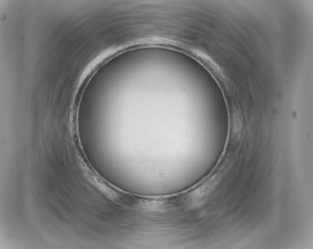 X0000081581278200701221019
