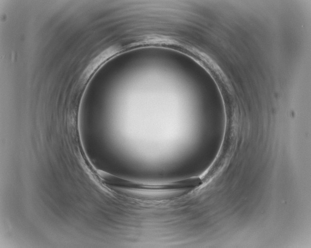 X0000081581281200701221019