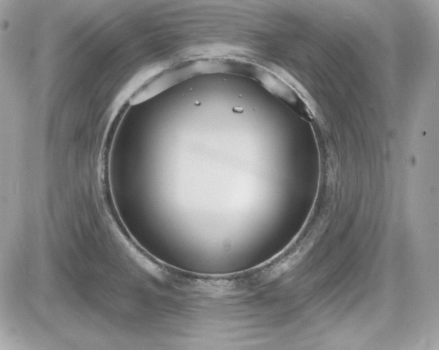 X0000081581285200701221019