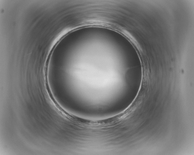 X0000081581291200701221019
