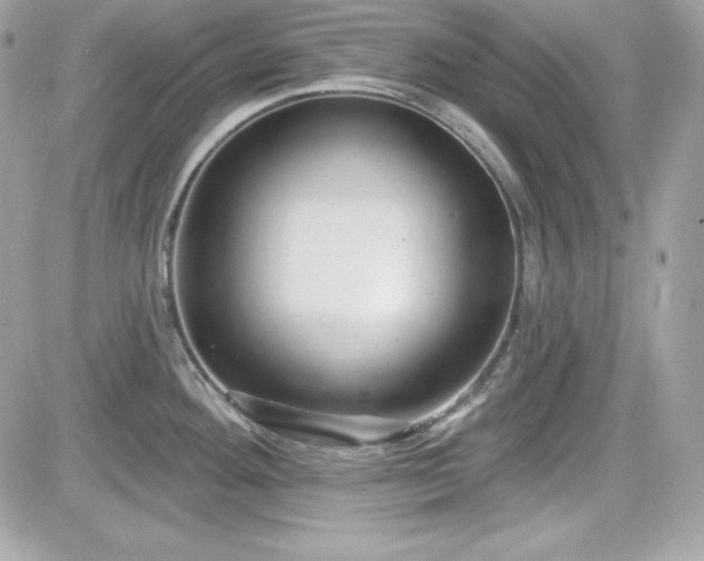 X0000081581292200701221019