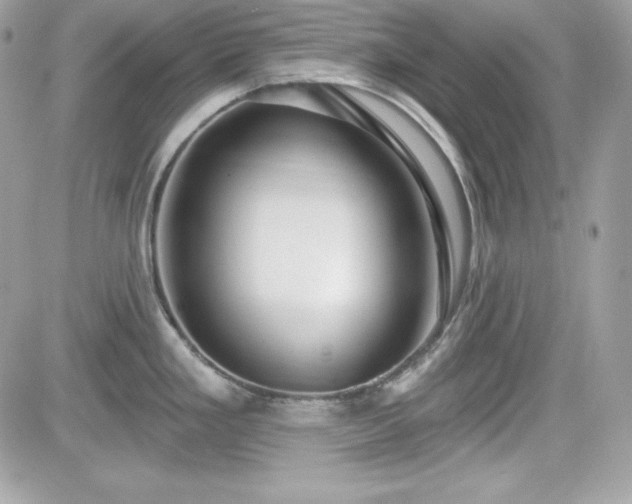 X0000081581293200701221019