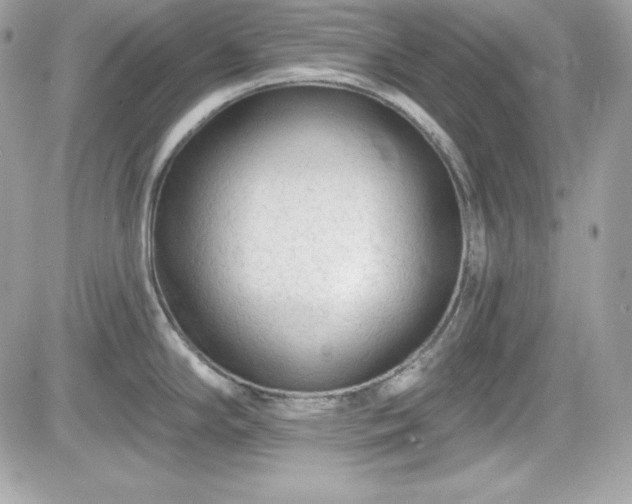 X0000081581294200701221018