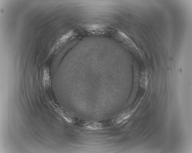 X0000081581298200701221018