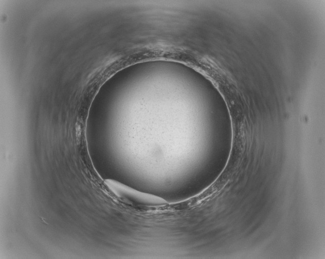 X0000081581302200701221018