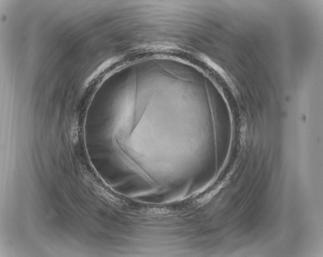 X0000081581306200701221018