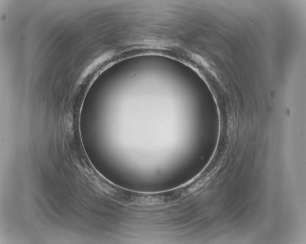 X0000081581307200701221018