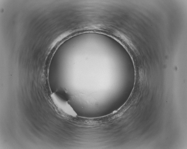 X0000081581308200701221018