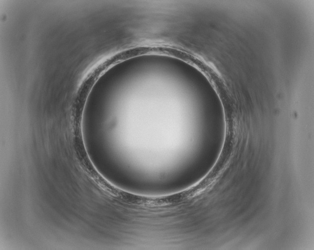 X0000081581311200701221018