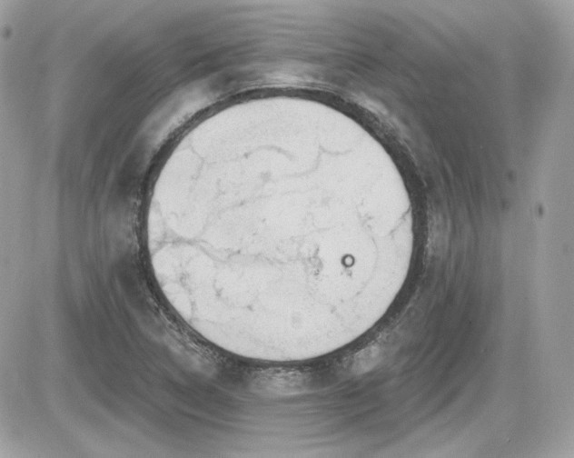 X0000081581314200701221018