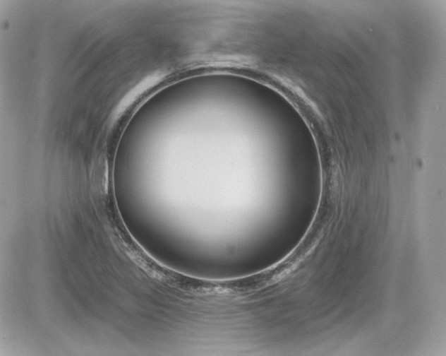 X0000081581317200701221018