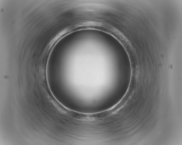 X0000081581321200701221018