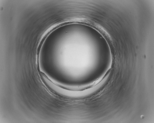 X0000081581324200701221018