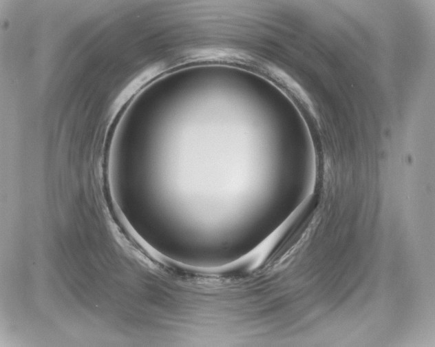 X0000081581330200701221018