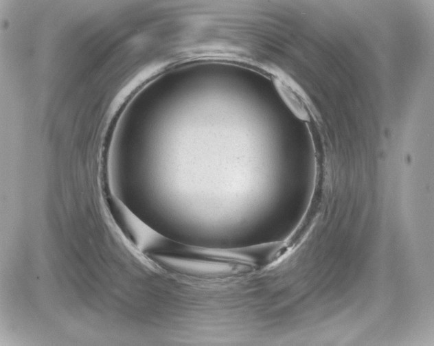 X0000081581333200701221018