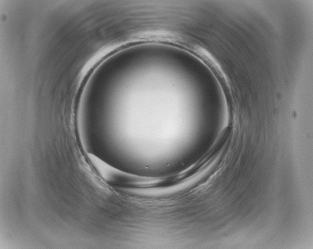 X0000081581336200701221018