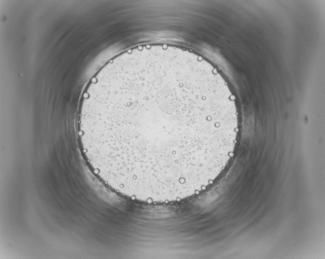 X0000081581338200701221018