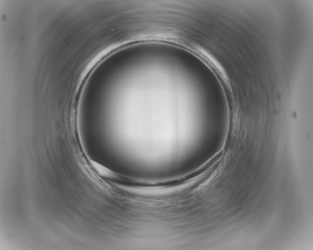 X0000081581340200701221018