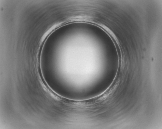 X0000081581341200701221018