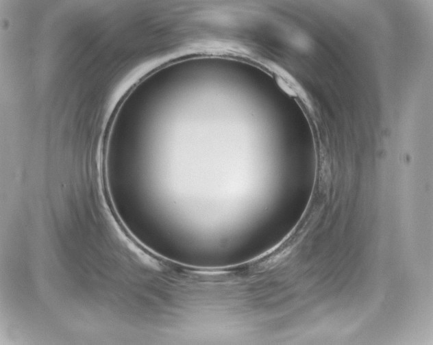 X0000081581343200701221018