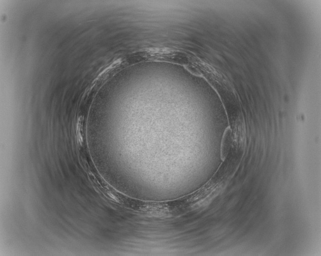 X0000081581346200701221018