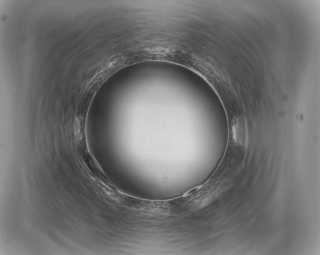 X0000081581347200701221018