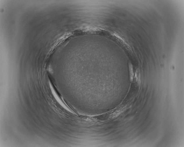 X0000081581348200701221018